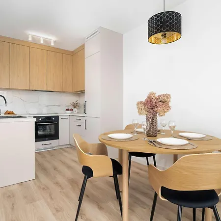 Cozy With Balcony With Underground Parking By Renters * 波兹南